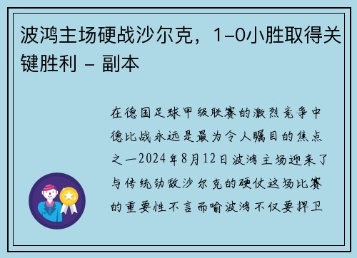 波鸿主场硬战沙尔克，1-0小胜取得关键胜利 - 副本